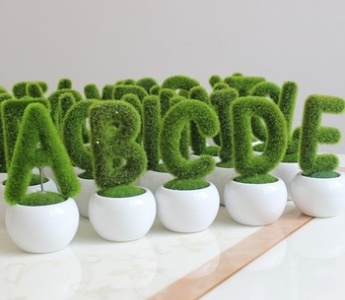 plant-letters.jpg